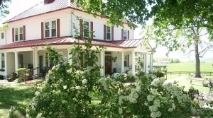 429113_361757163856345_93632273_n